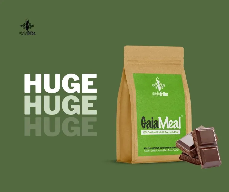 Gaia Tribe: Instagram Campaign by OXE Marketing