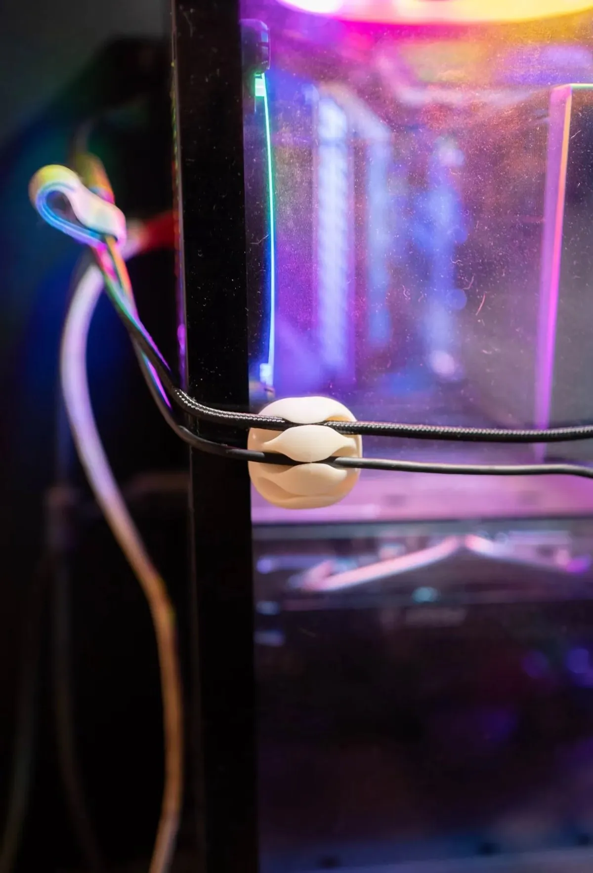 Wirever project by OXE Marketing, image 5
